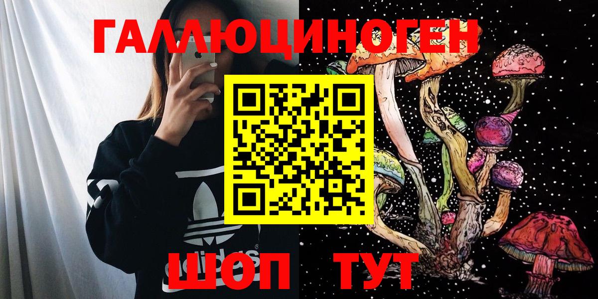 Скопин  Галлюциногенные грибы Cubensis  Вход с VPN 
